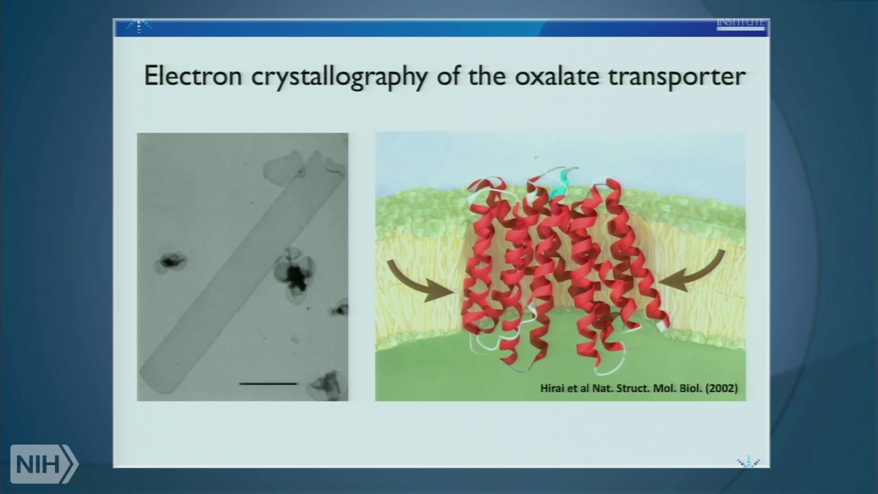 The cryo-EM revolution