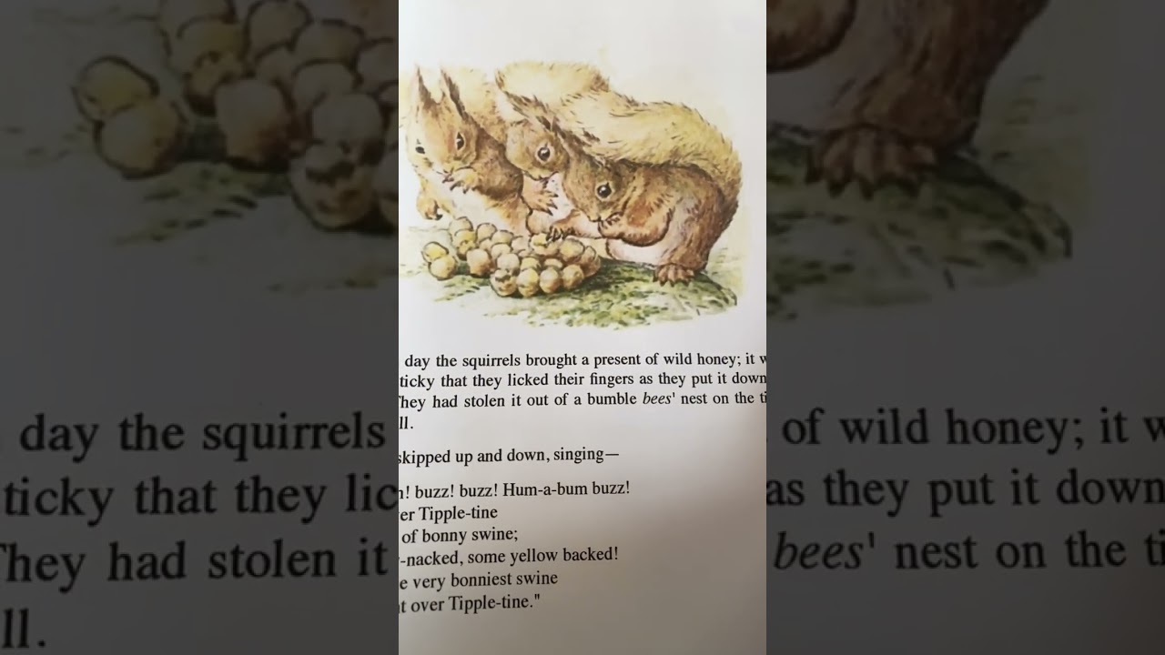 Squirrel Nutkin
