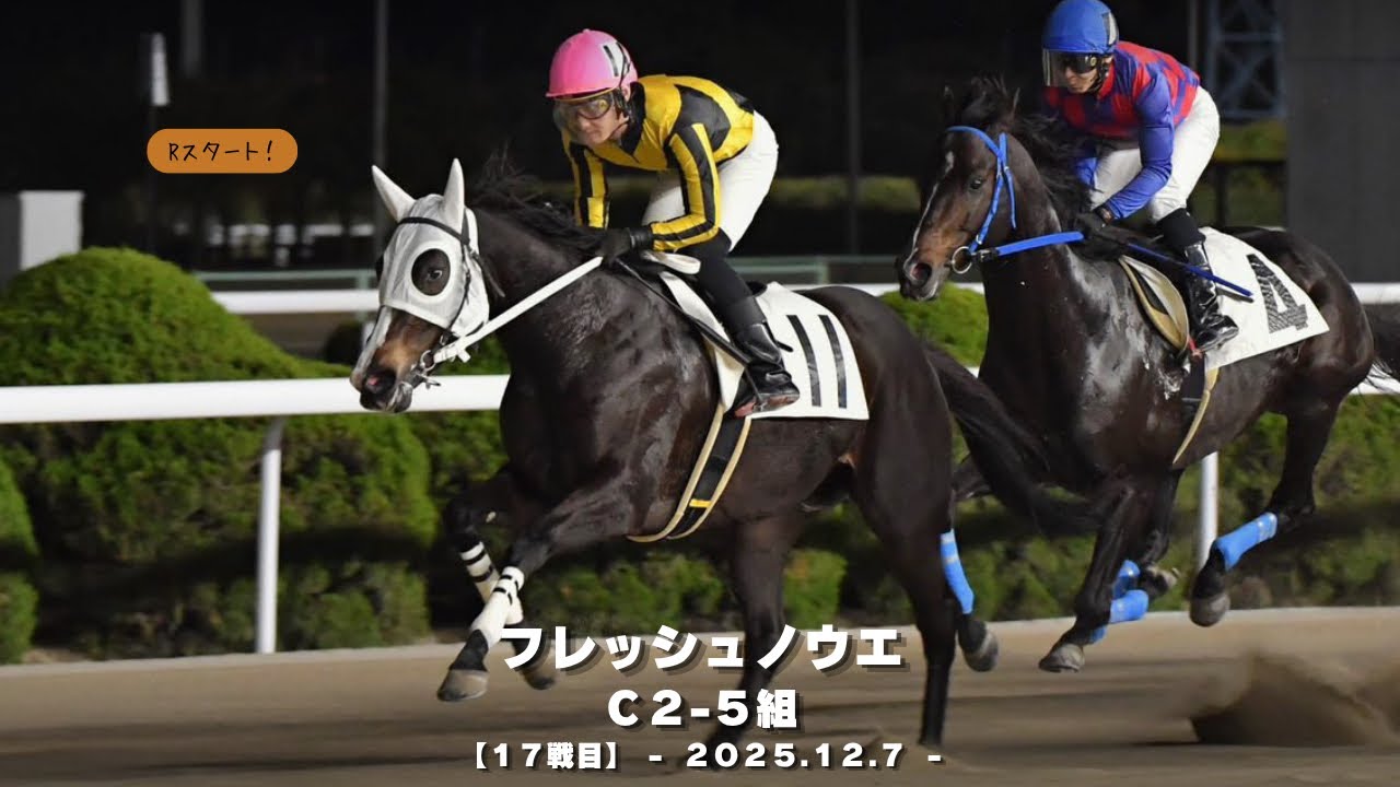 【地方競馬】フレッシュノウエ１７戦目