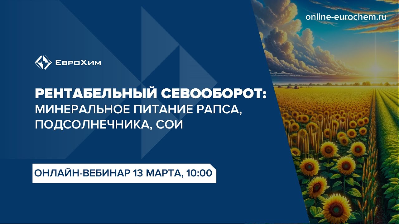 Вебинар 