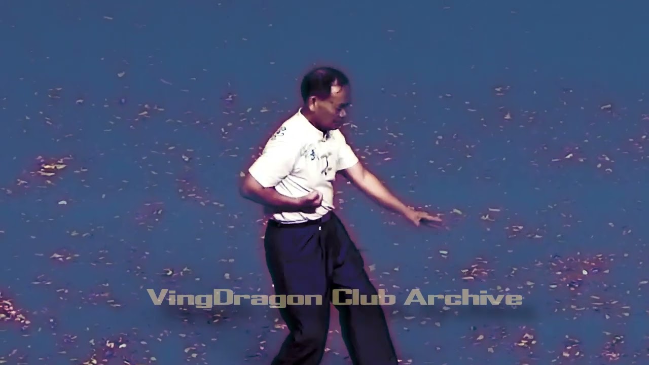 Weng Chun Kuen (永春拳) - 11 Hands (十一隻手) Form mainland China