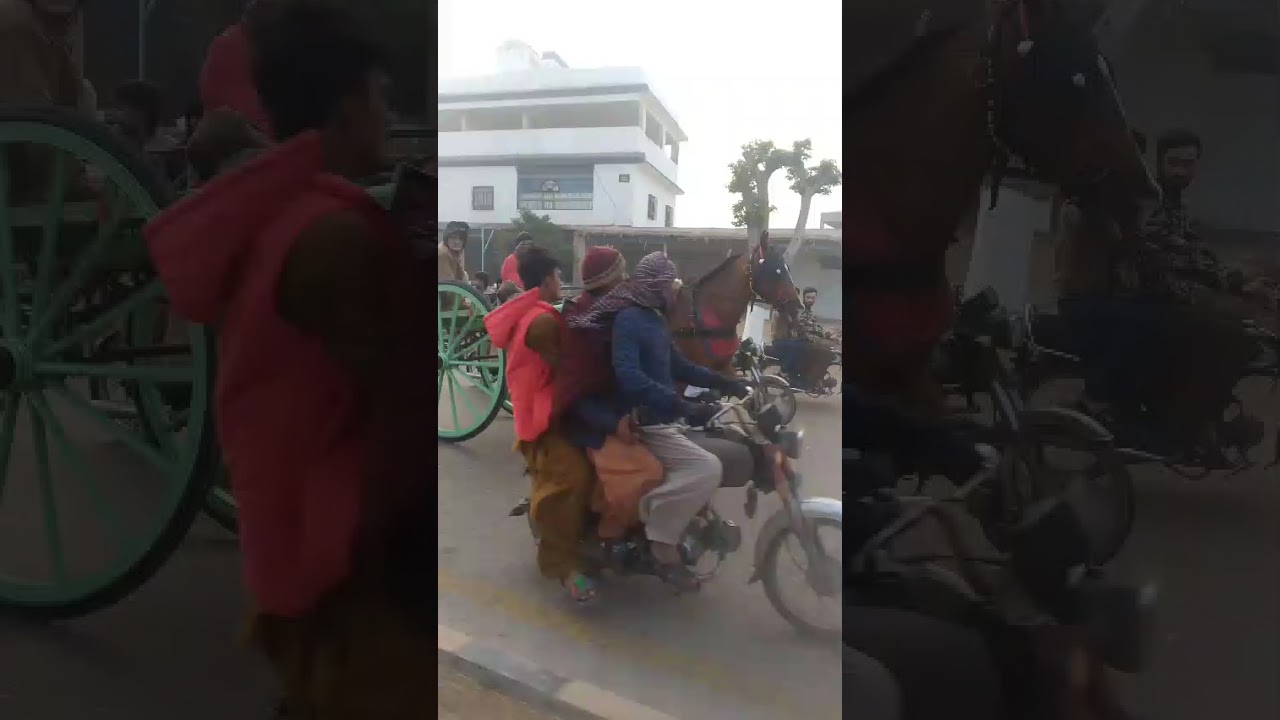 Subscribe my you tub channel Rawalpindi Tanga race Shok subscribe like share 