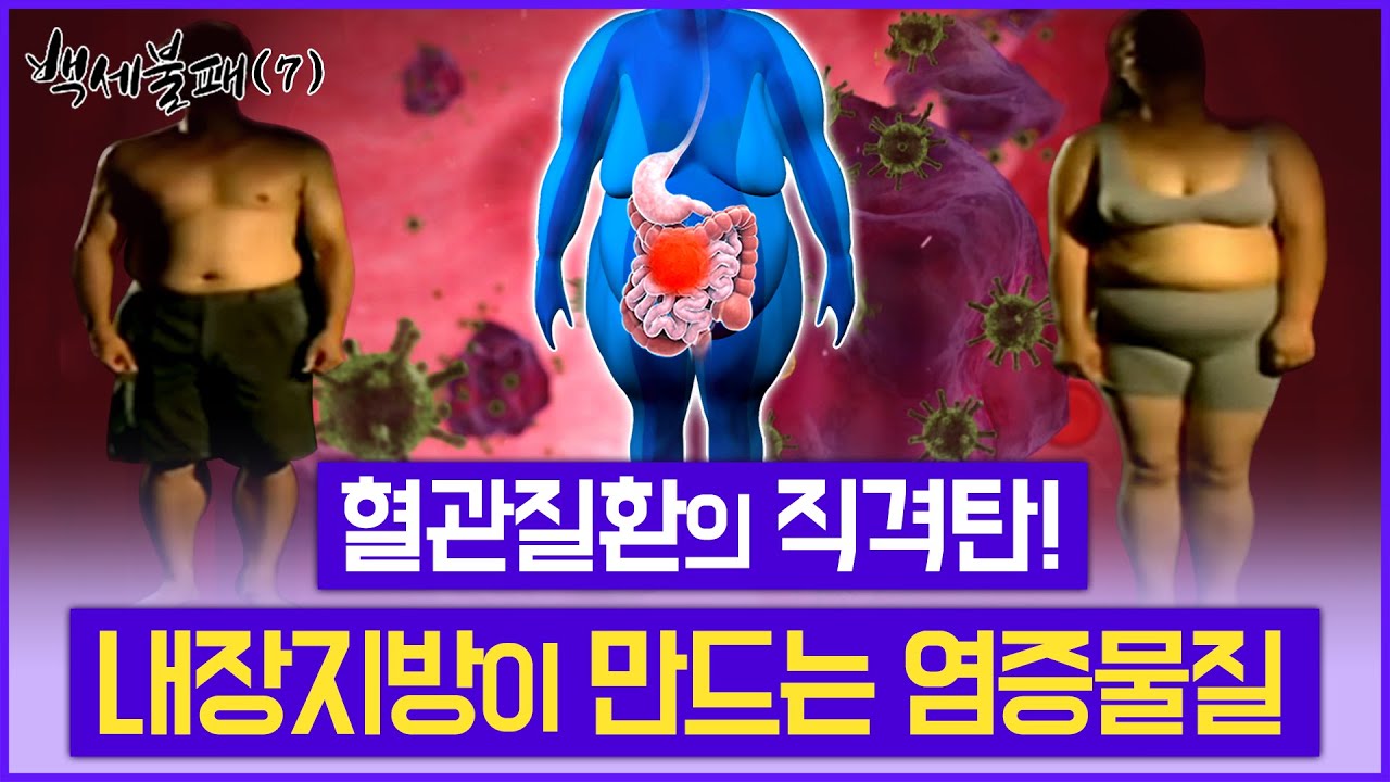 내장지방이 만드는 만성염증! (유료광고포함)  혈관질환, 암의 원인이 된다 / 삶의 질을 낮추는 당뇨 / 경인TV 백세불패 20220330
