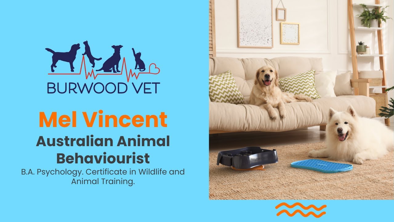 Mel Vincent, Experienced Australian Animal Behaviourist gives Super Feedy the seal of approval.