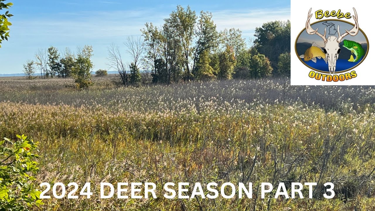 Michigan Public land marsh hunting