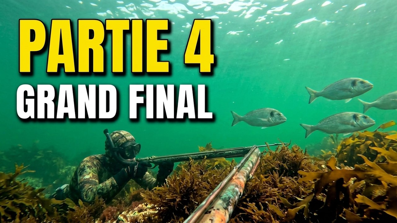 Pesca sub doradas bretaña 2025 (part 4/4) chasse sous marine