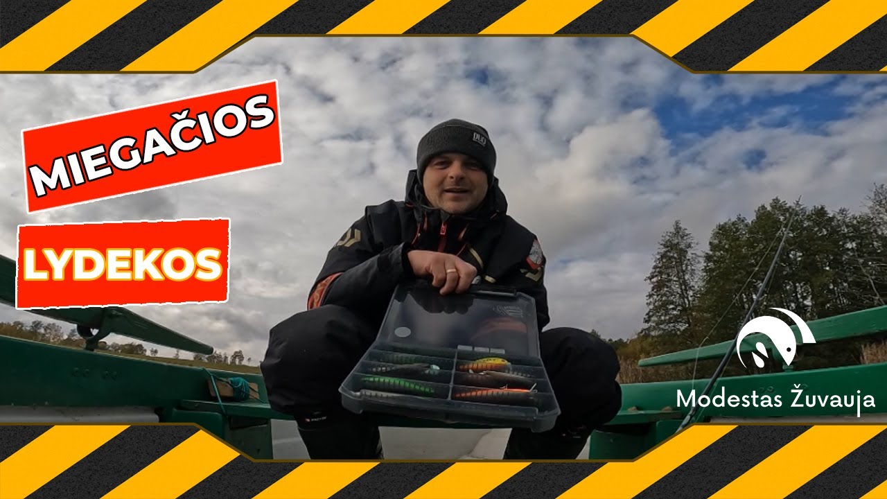Miegančios lydekos
