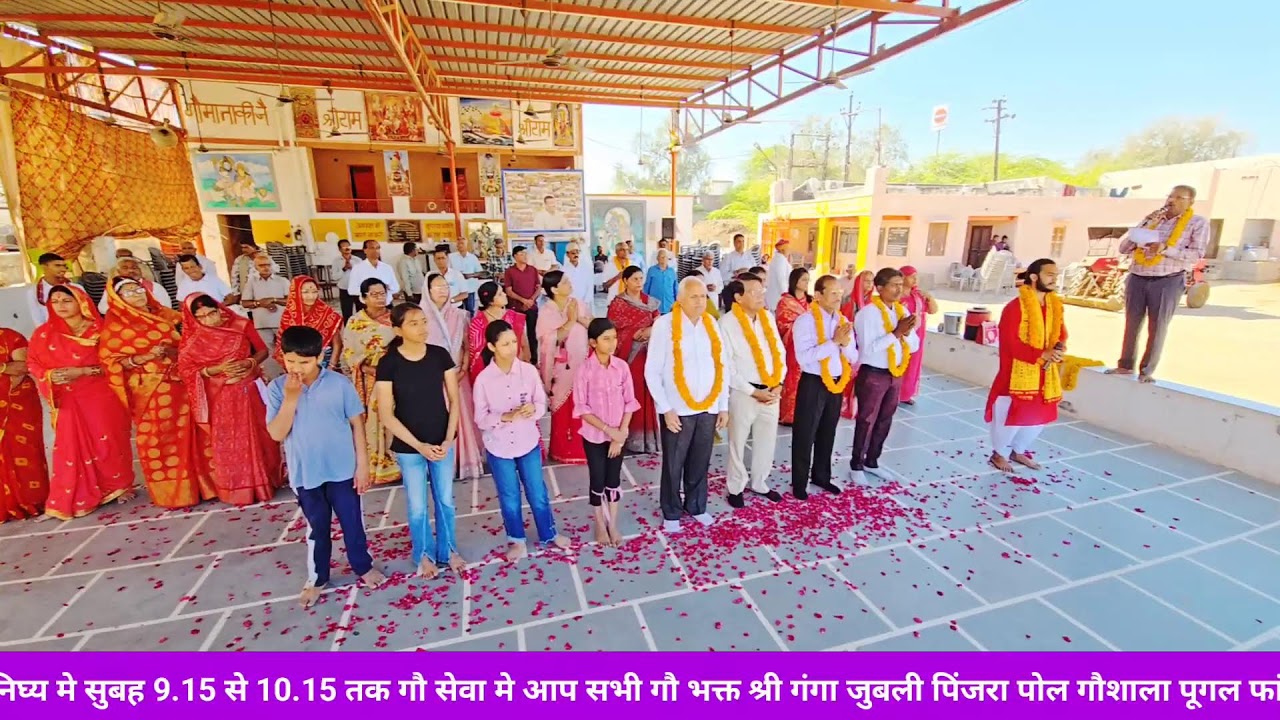 श्री गंगा जुबली पिंजरा प्रोल 06/03/26 गौशाला में आज का आनंद