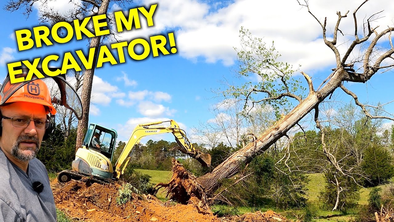 Digging BIG Trees With A MINI Excavator.  Yanmar VIO50 Digger