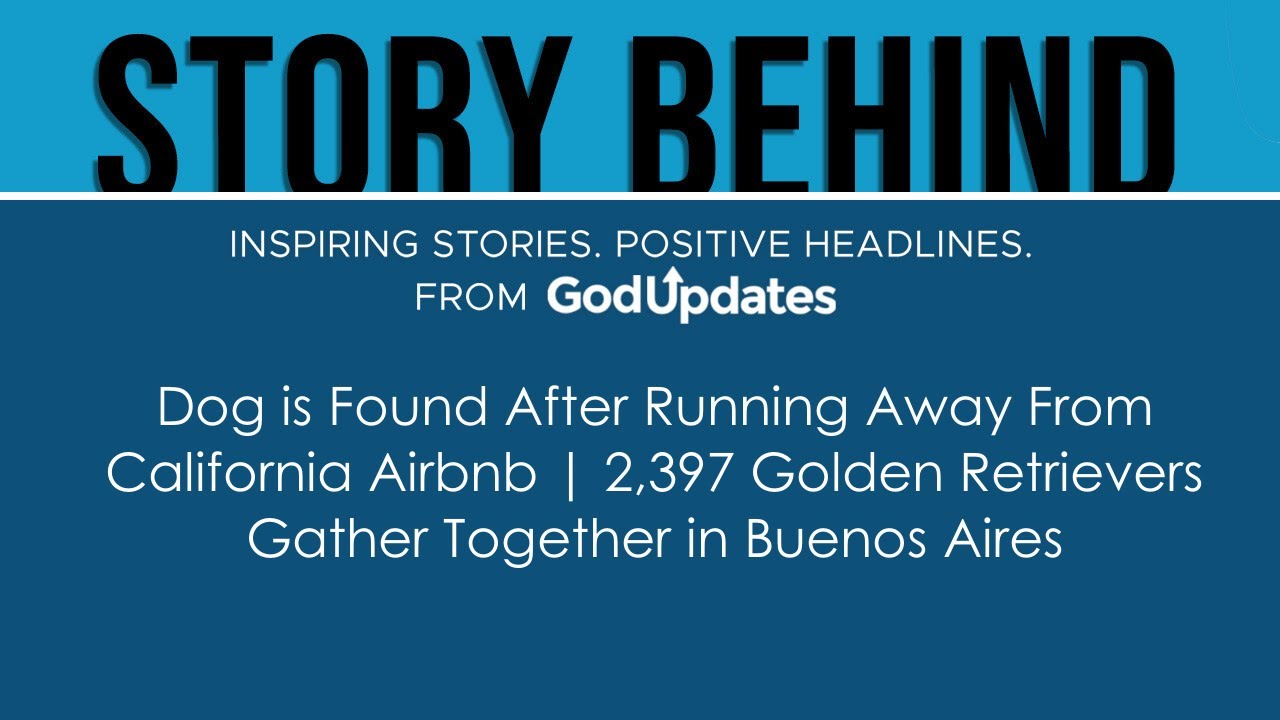 Dog is Found After Running Away From California Airbnb | 2,397 Golden Retrievers Gather Together ...