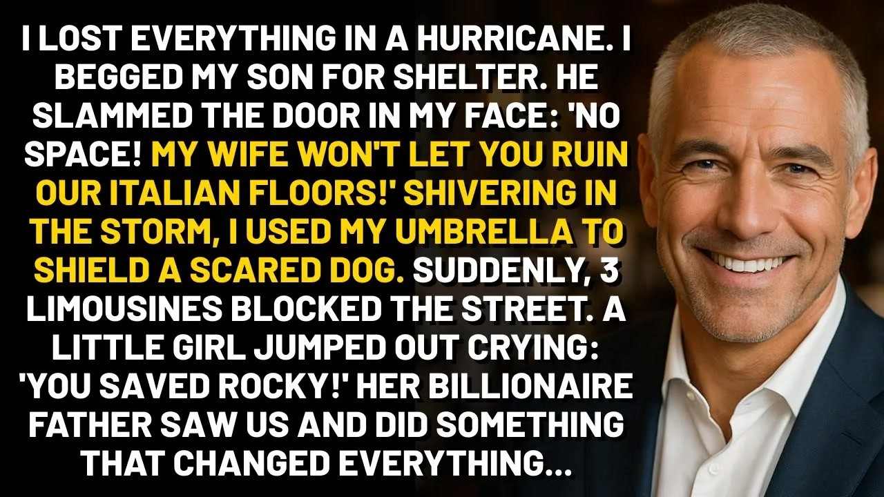 My Son Locked Me Out In A Storm. I Protected A Lost Dog With My Umbrella. Then 3 Limousines Stopped