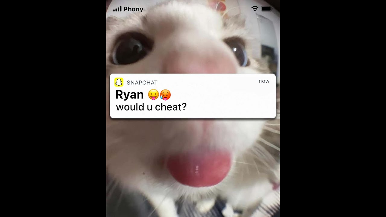 Would You Ever Ever Cheat?