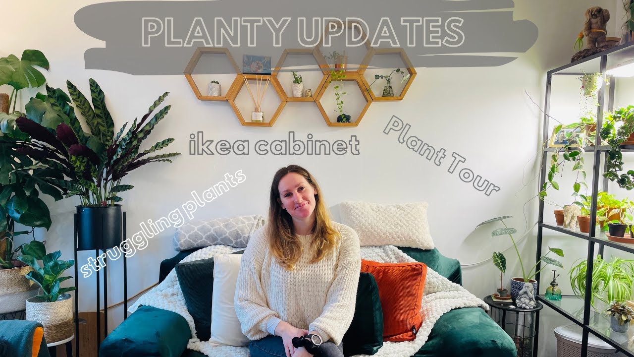 HOUSEPLANT UPDATES: January 2022 plant updates