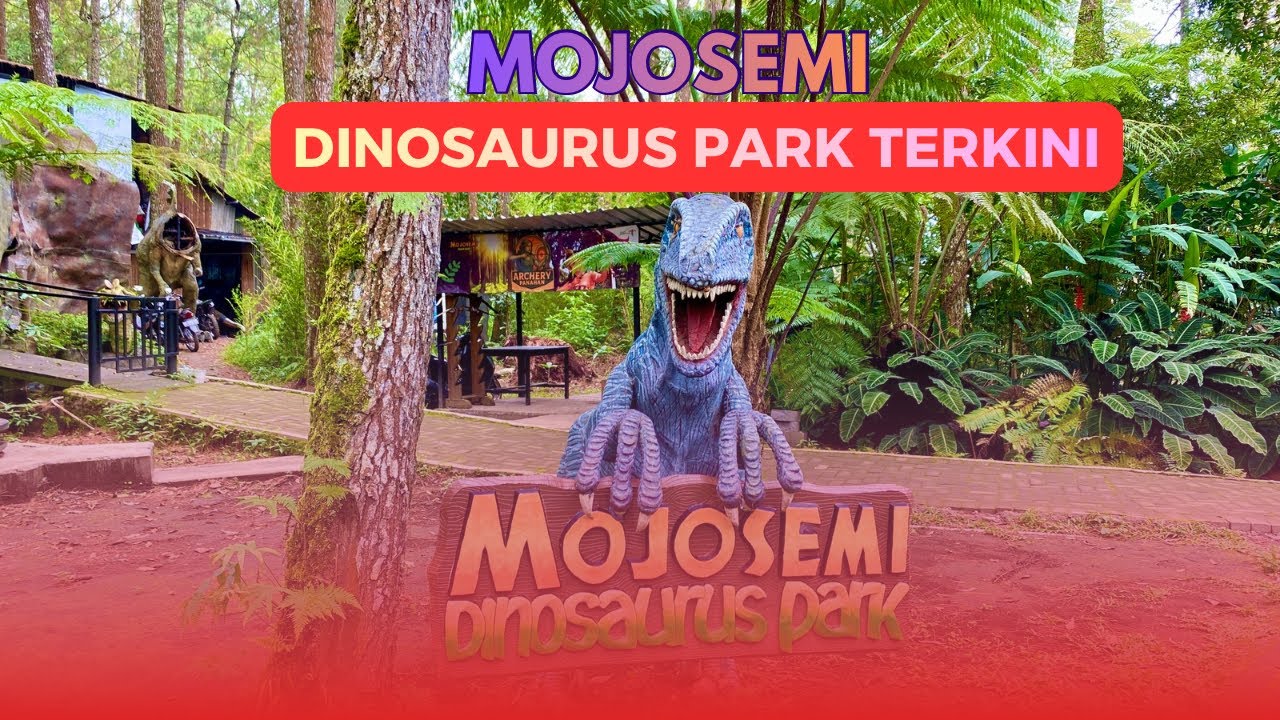 Mojosemi forest park kondisi terkini ||Tiket masuk terbaru akhir tahun 2025 ||