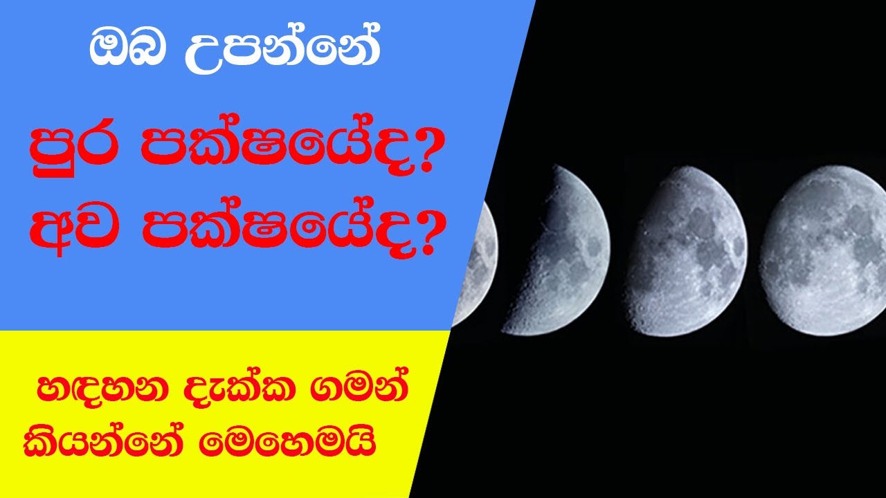 ඔබ උපන්නේ පුර පක්ෂයේද? අව පක්ෂයේද? හඳහන දැක්ක ගමන් කියන්නේ මෙහෙමයි - Palze lk - Astrology Sinhalen