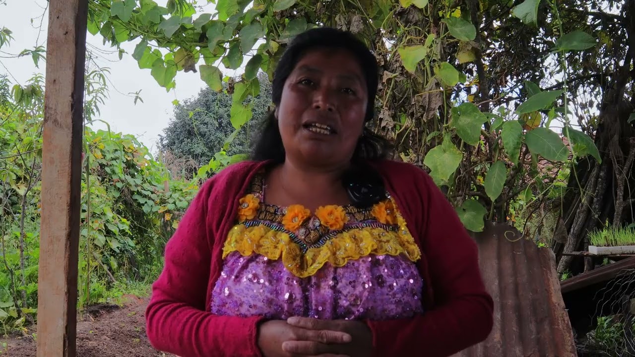 Entre semillas y sueños cultivamos futuro