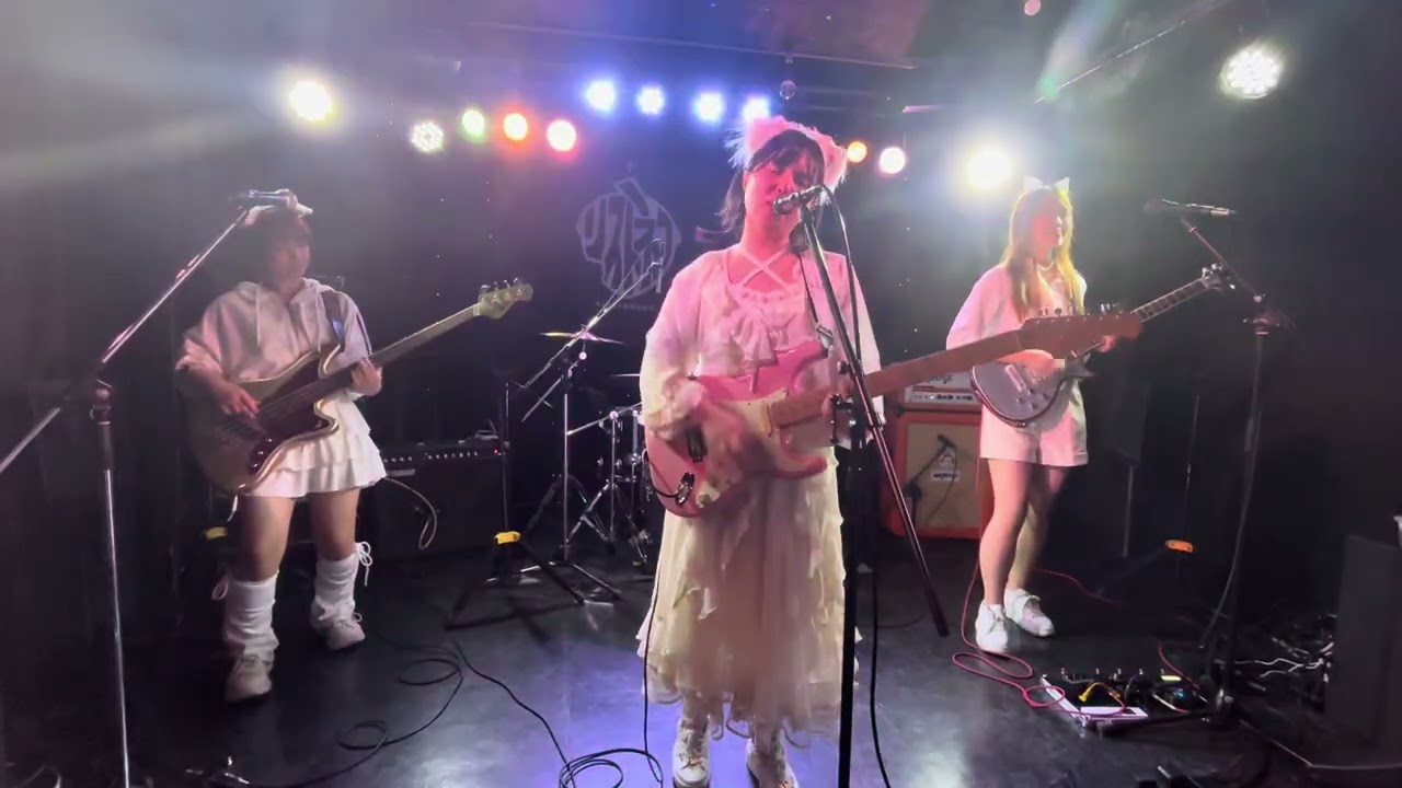 リストネコ　猫音祭　言えない　2026年1/31