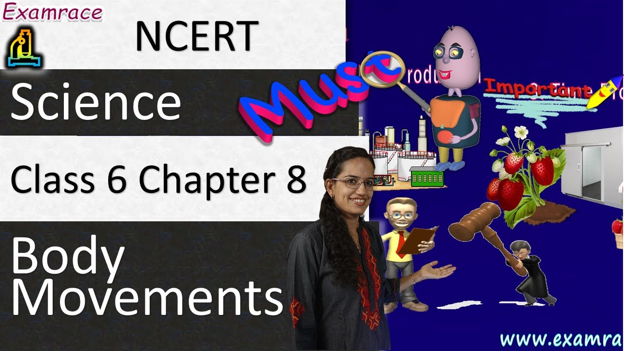 NCERT Class 6 Science Chapter 8: Body Movements (NSO/NSTSE/Olympiad) | doorsteptutor.com