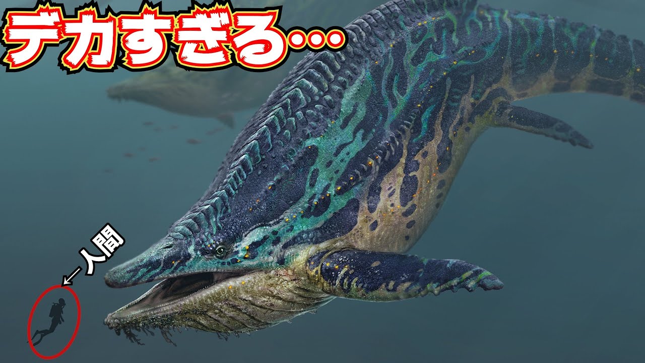【もはやボス】新生物の超巨大クジラ・シャスタサウルスをテイムする！【ARK/ASA】
