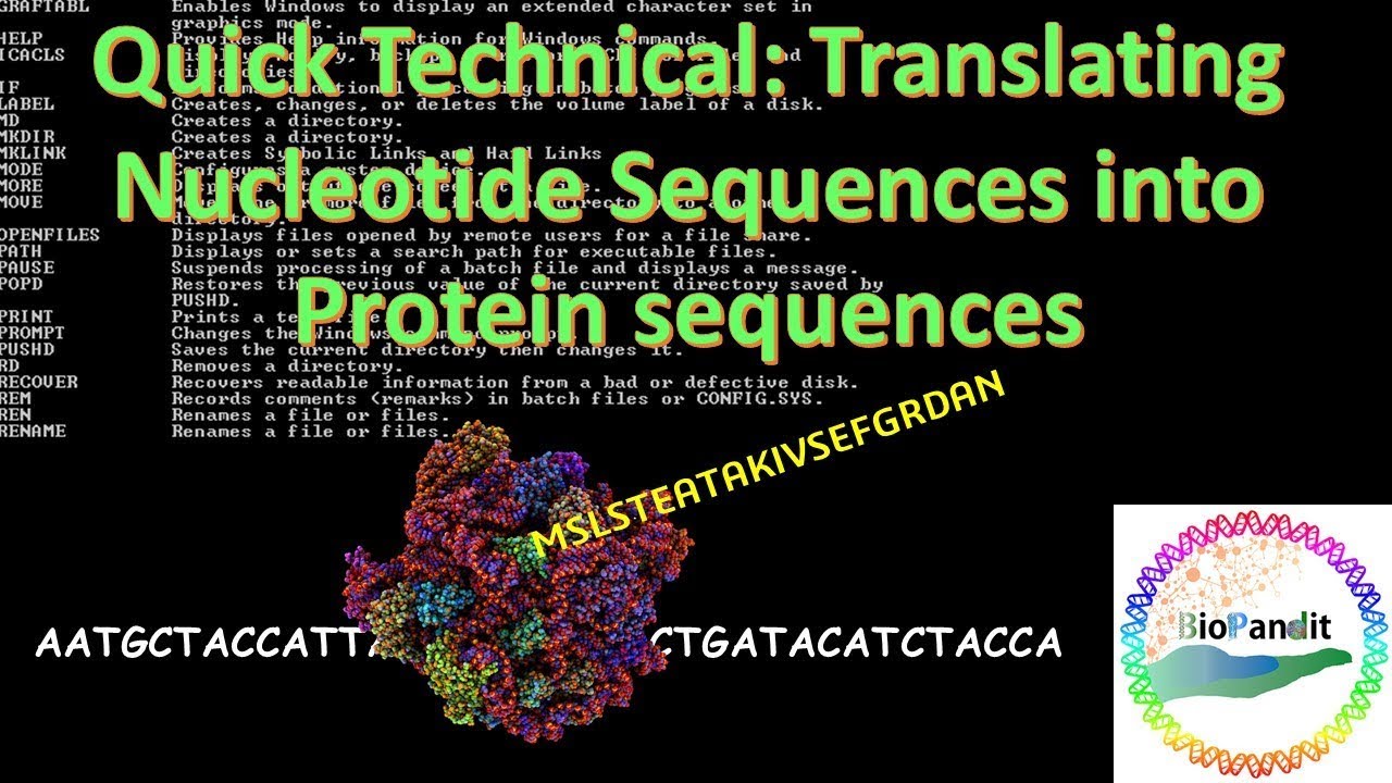 Quick Technical: Translating Nucleotide Sequences into Protein sequences