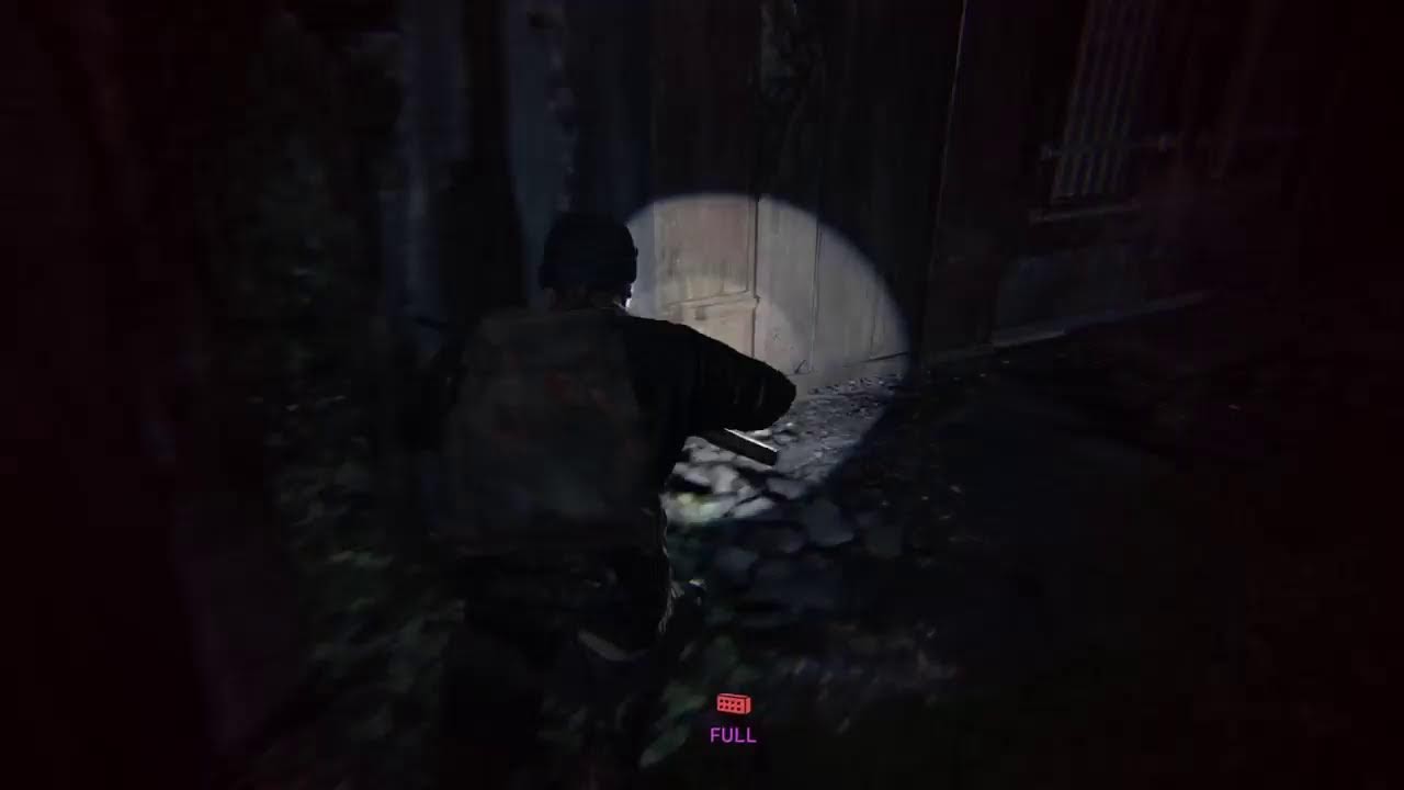 TLoU2 grounded