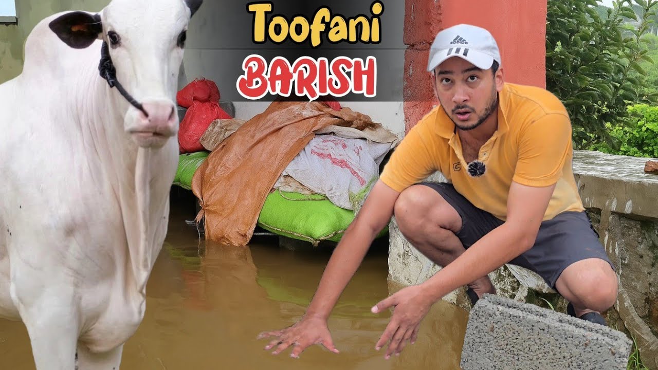 Toofani barsih say Crown k room main pani a giya😱 - New Dabba Beauty Coming Soon 😍 - Ducks Expire 😥