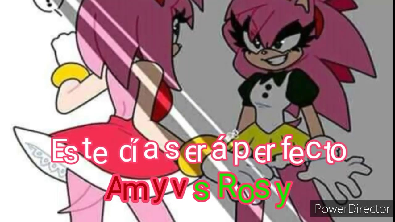 Este día será perfecto Amy vs Rosy