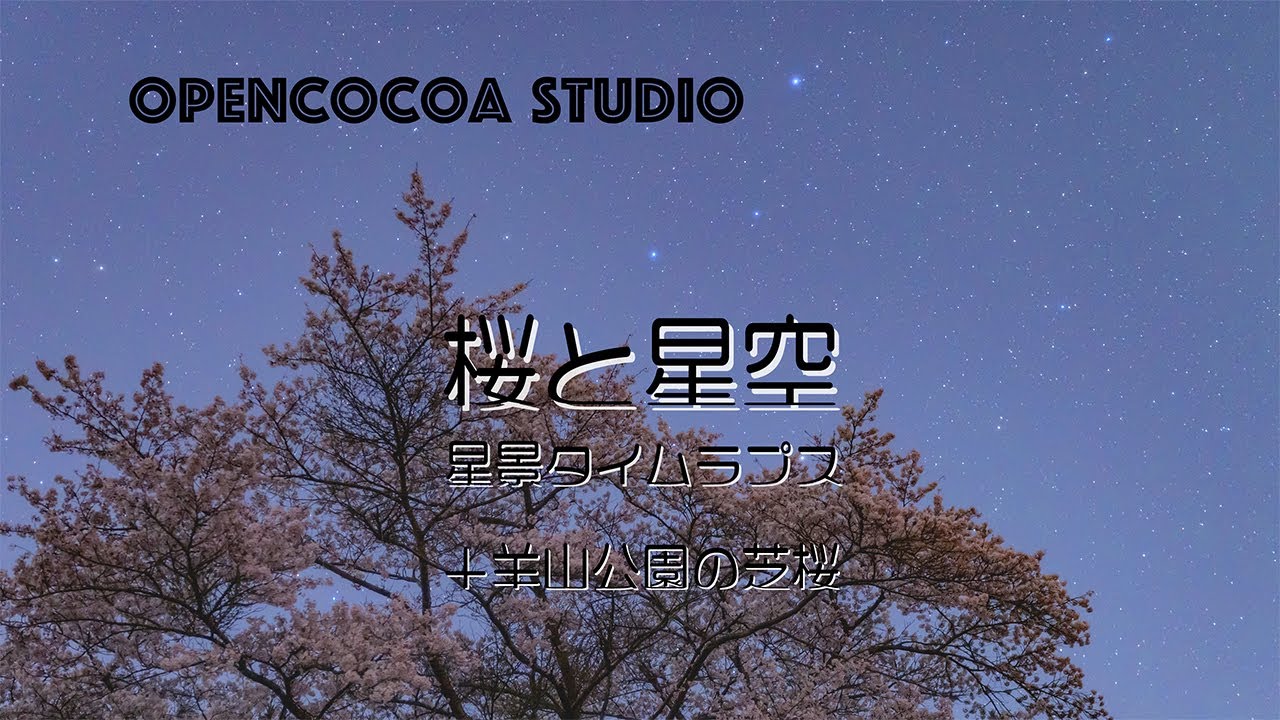 桜と星空 星景タイムラプス スターエンハンサー 羊山公園 芝桜 Nikon Z6Ⅱ D4s