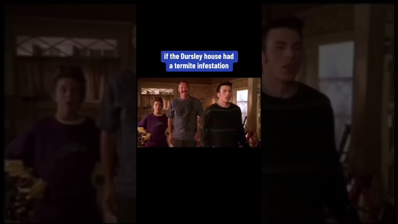 #termites