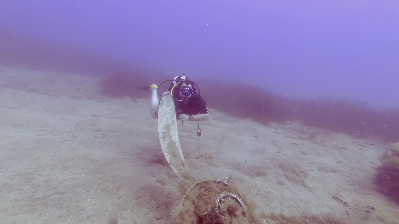 Scuba Diving Crete 2020 - Lucky Reef & Messerschmitt WWII Wreck