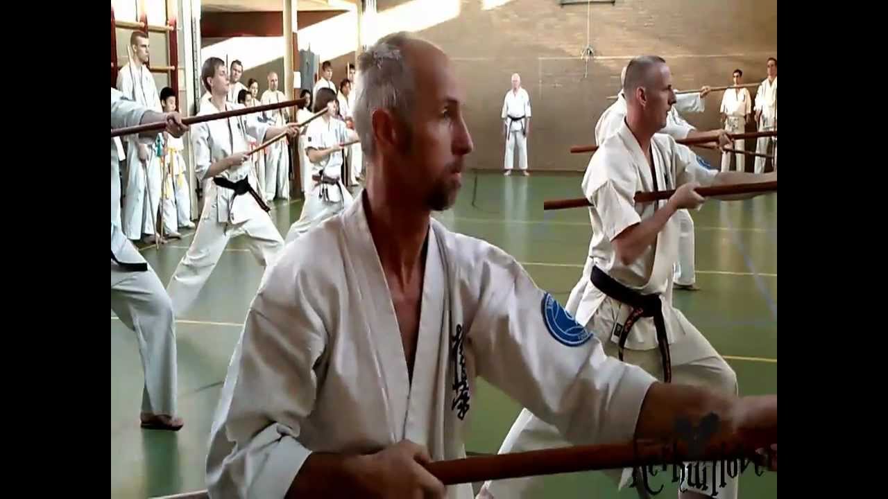 Cor Mol Bo Kata Training Ichi en Chion oktober 2010