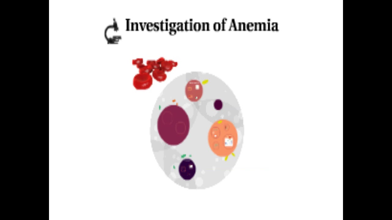 المحاضرة الأولى فى مادة (الباطنة العامة) بعنوان Hematological disorder للفرقة الأولى بالمعهد