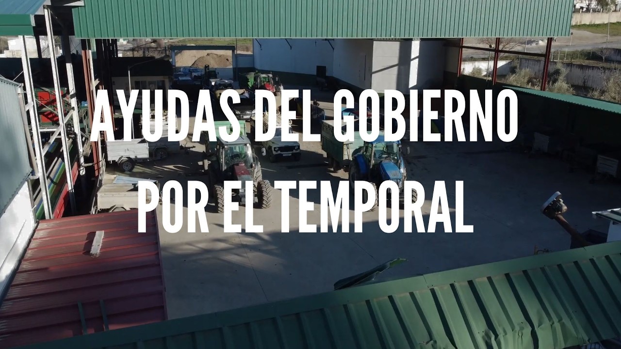 Ayudas del Gobierno de España por el temporal