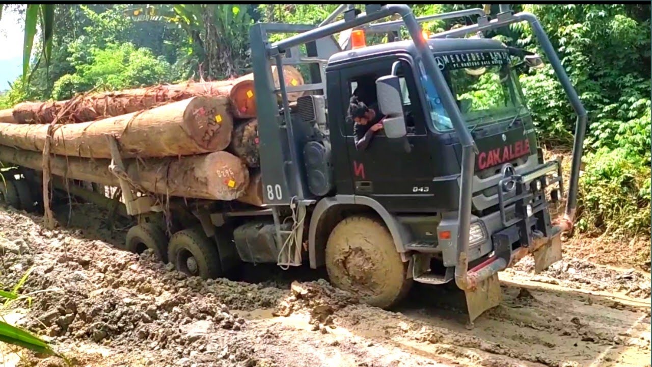 Logging Kalimantan🔥Jalanan sangat parah di musim hujan dan cukup sulit di lewati