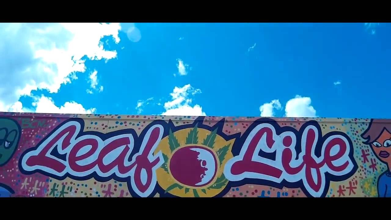 LEAF LIFE | El Xupet Negre