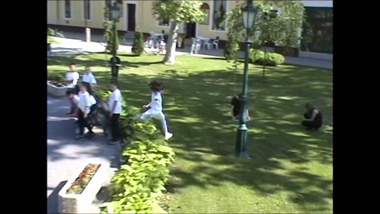 Flashmob Csanádpalota 2015 05 30