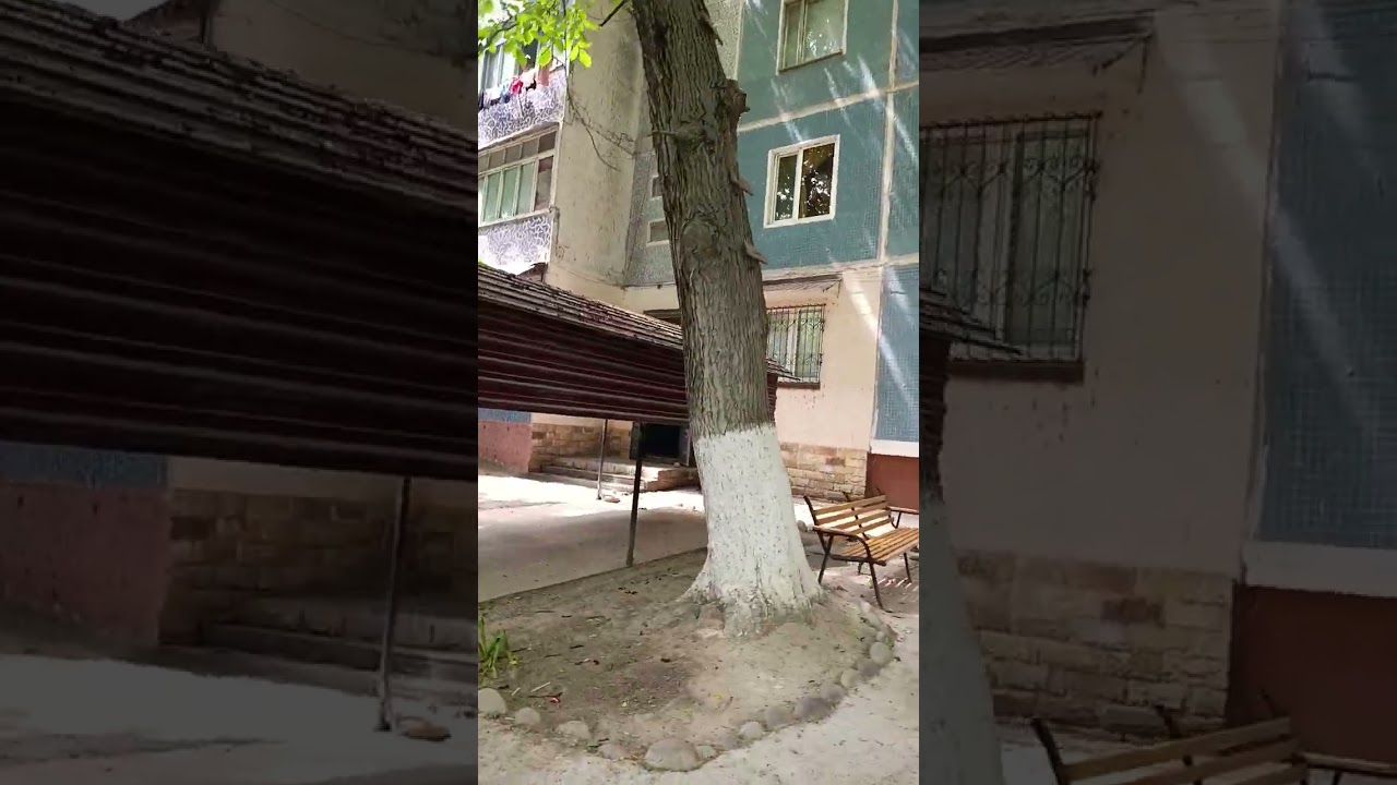 Чирчик, улица Победа.