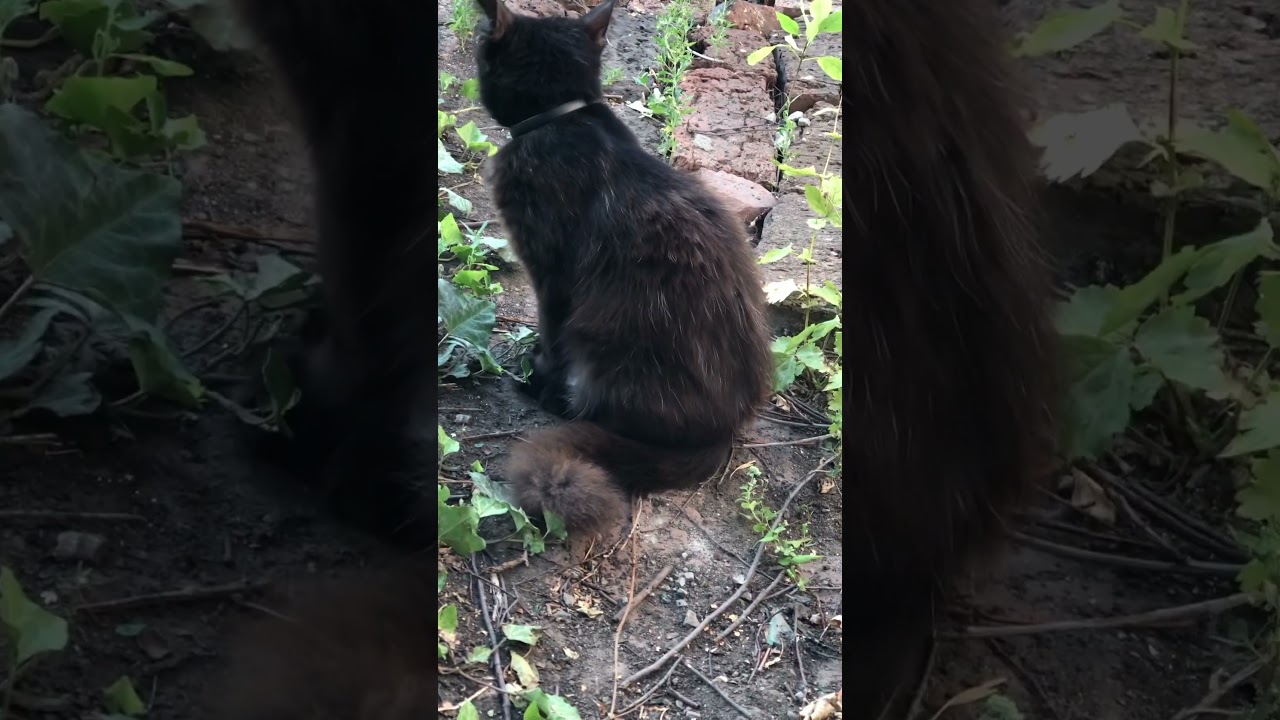 #цитаты