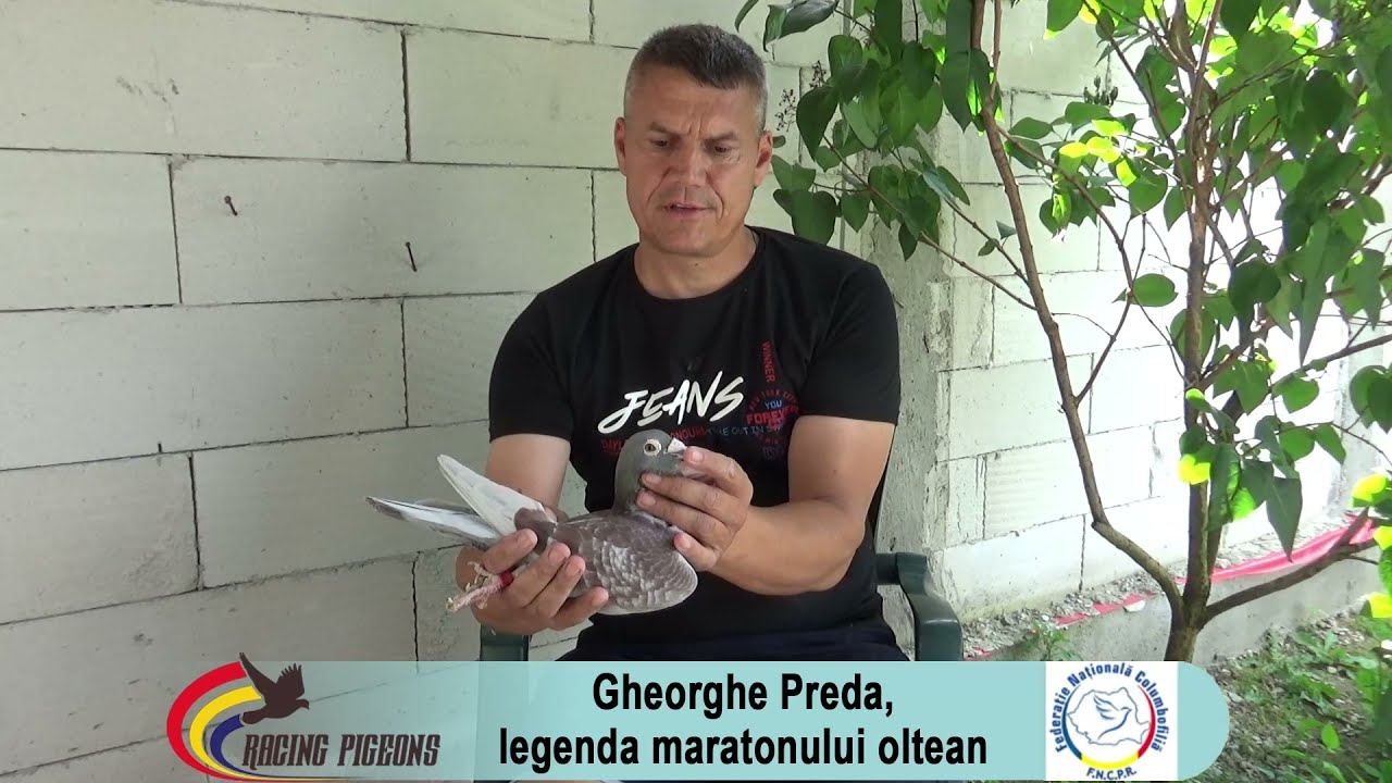 Gheorghe Preda, legenda maratonului oltean