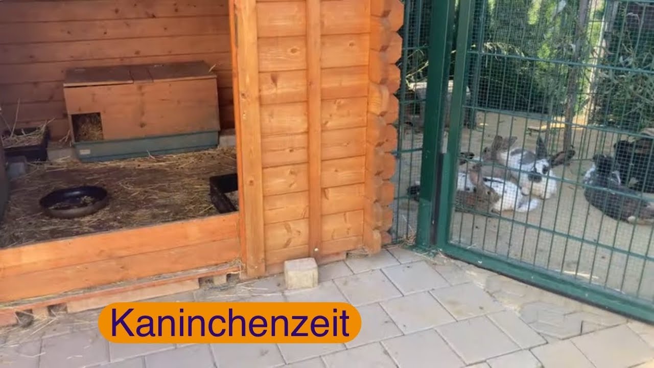 Mein Kaninchen Gehege, Innenbereichen