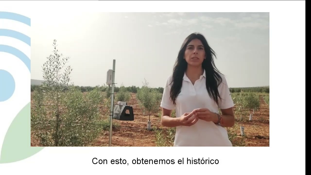 Trampa para Glifodes en explotaci&oacute;n Demofarm de Arquillos, Ja&eacute;n