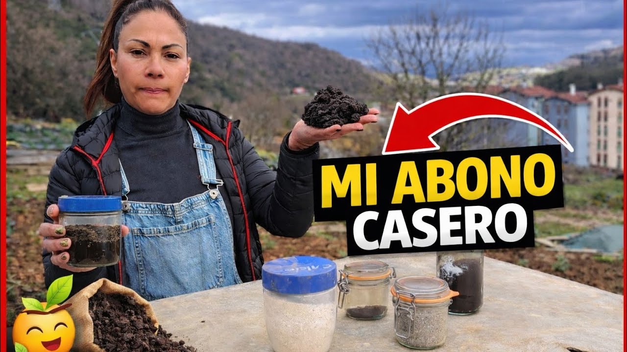 Cómo hago mi abono casero con café,  cáscara de plátano, ceniza y  huevo | Fertilizante natural