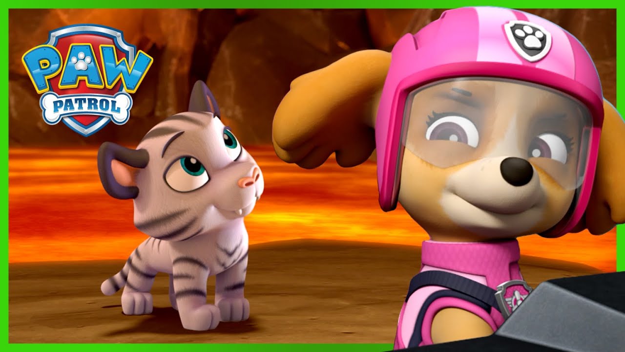 Misja ratunkowa: pieski ratują tygrysy! - Psi Patrol PAW Patrol po polsku - Pup Tales - Pup Tales