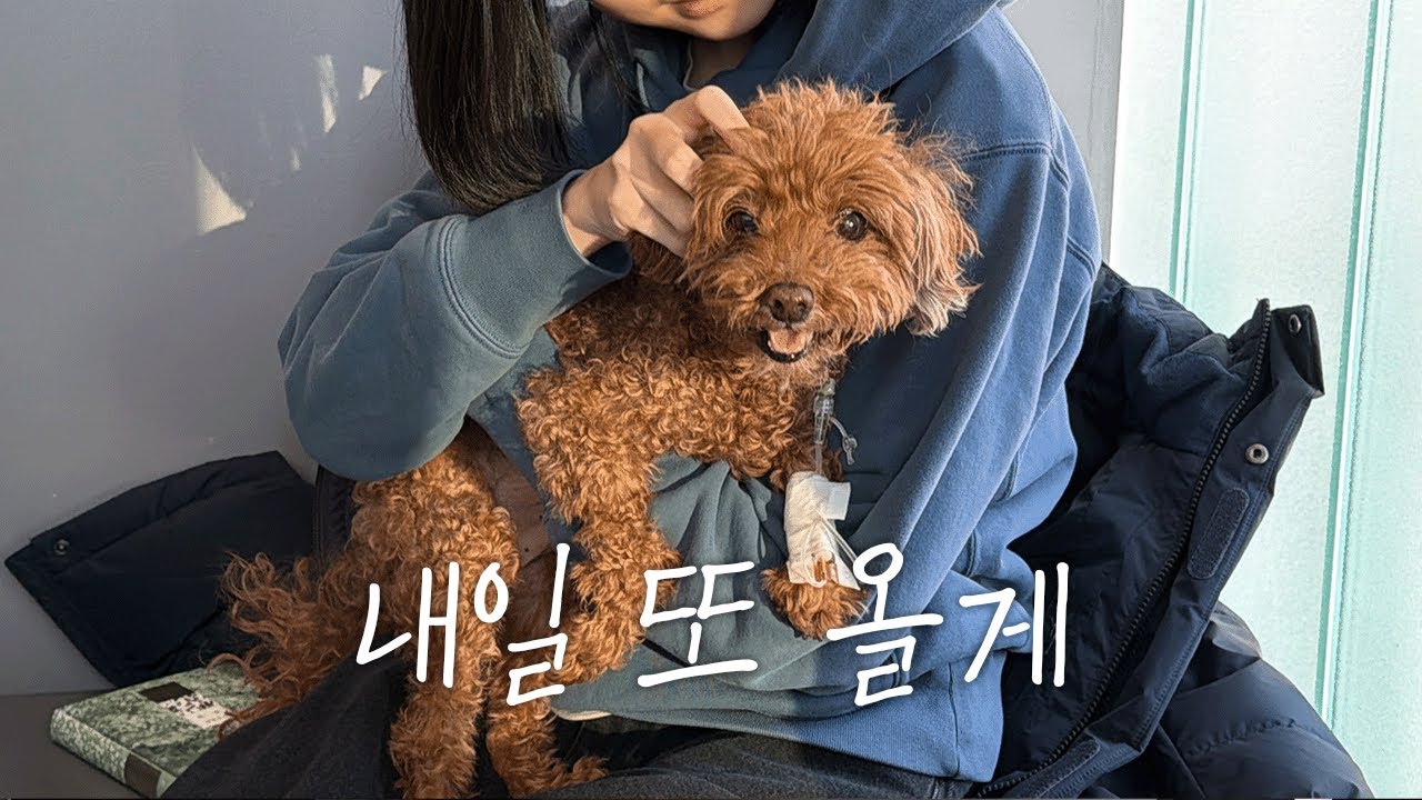수술과 10일간의 입원, 집으로 오기까지🏡💞