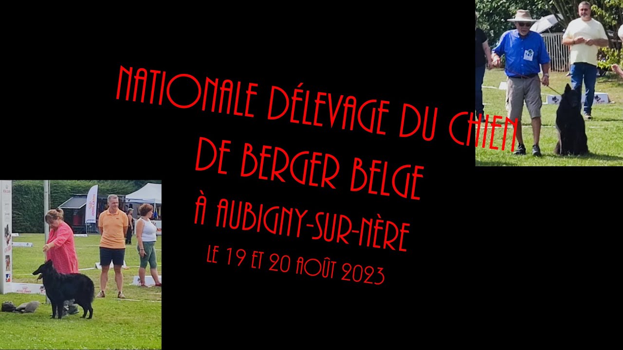 Groenendael Aubigny 2023