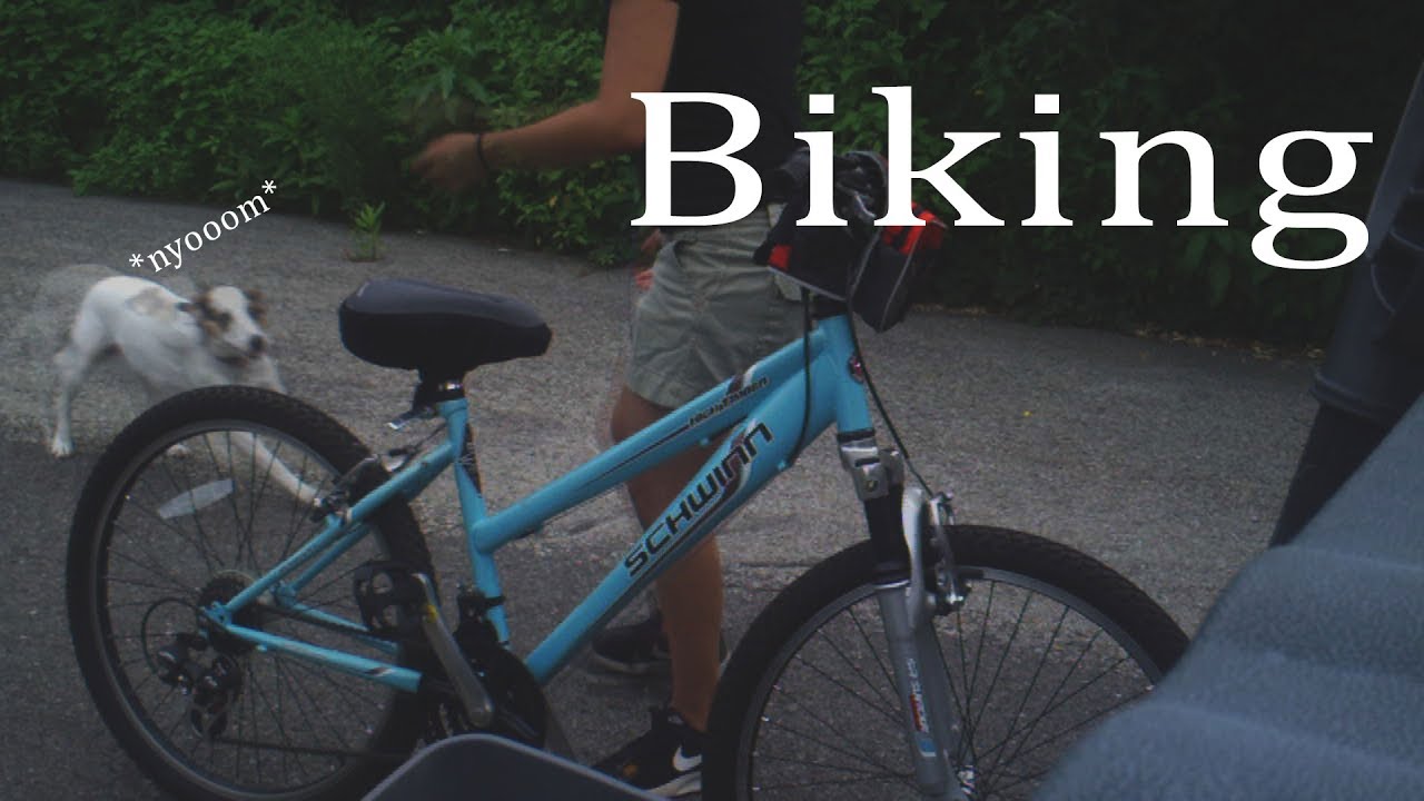 biking // an artsy video // VEDJ 23