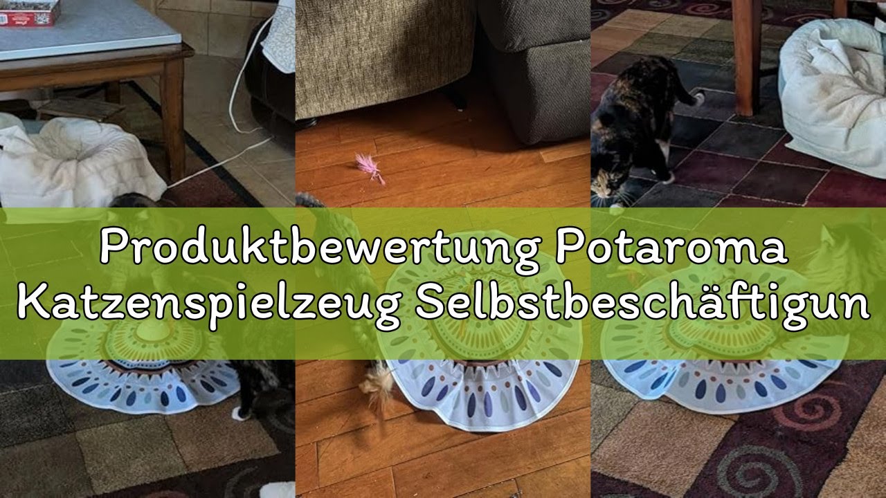 Produktbewertung Potaroma Katzenspielzeug Selbstbeschäftigung, wiederaufladbar Elektrisch 3-in-1 Ver