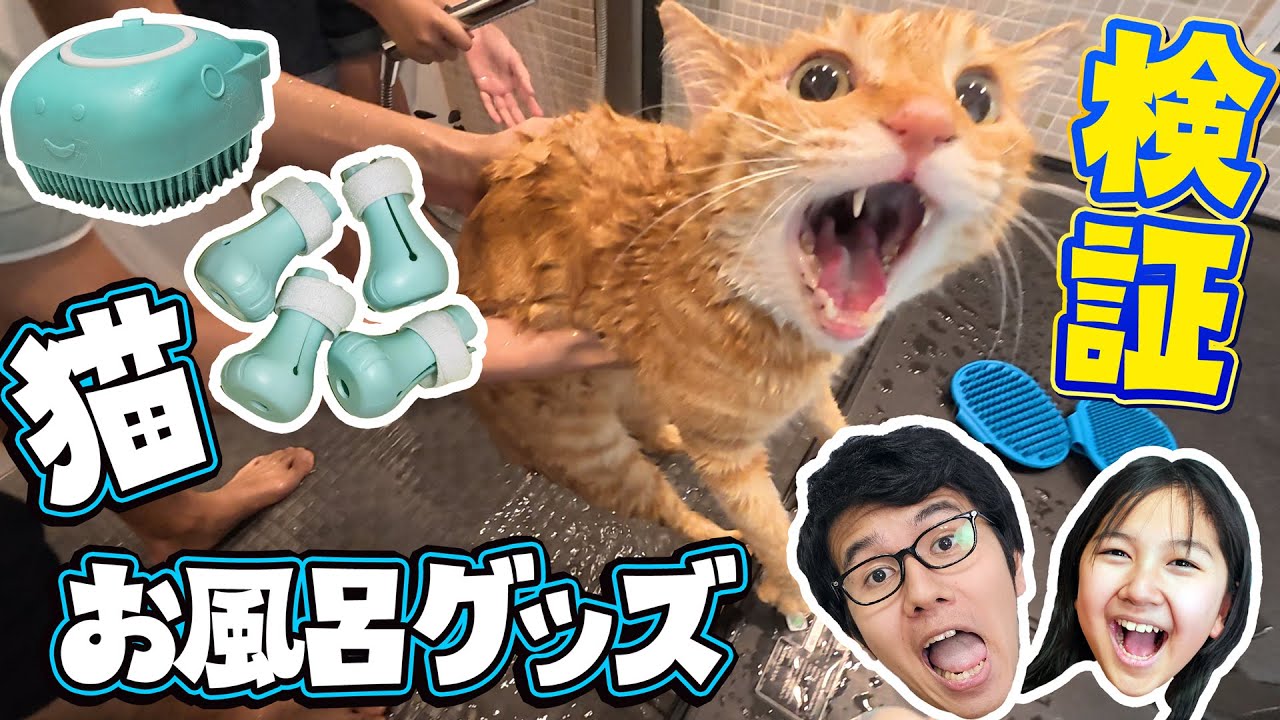 お風呂大っ嫌いなルイモカ対策！？ペットのお風呂グッズ使ったら猫のお風呂楽になる？？himawari-CH