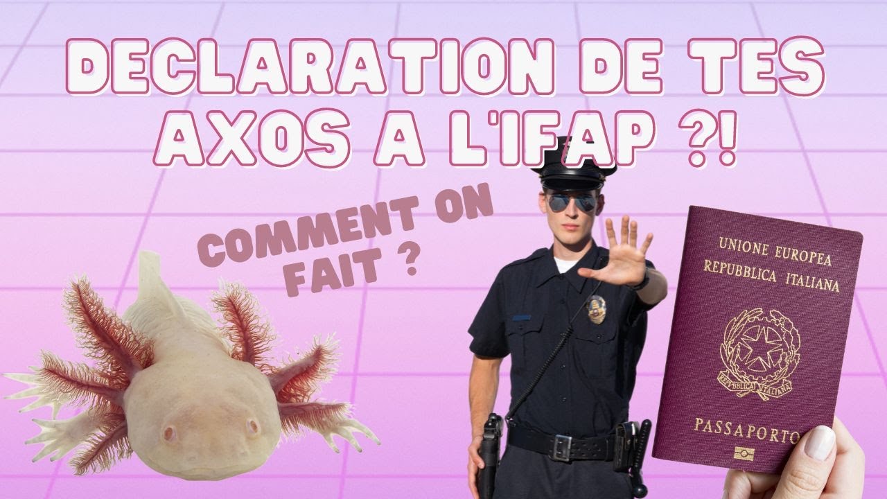 Axo News #12 DECLARATION DE TES AXOLOTLS ? OBLIGATOIRE ?! Comment on fait ?