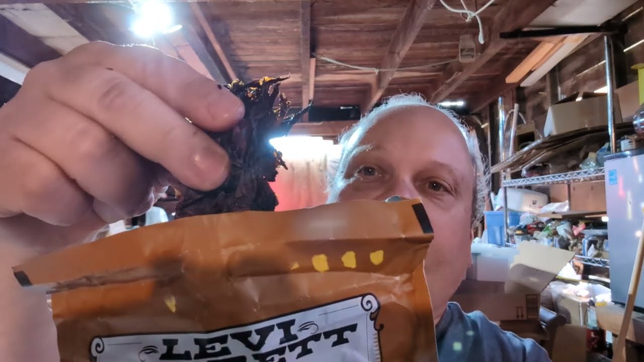 Levi Garrett chewing tobacco review.